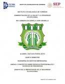 ENSAYO DE LA IMPORTANCIA DE LA SEGURIDAD OCUPACIONAL