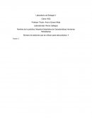 Muestra Estadística de Características Humanas Hereditarias