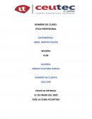 RELACIÓN ENTRE ACTO HUMANO Y ACTOS DEL HOMBRE