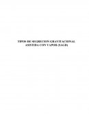 TIPOS DE SEGRECION GRAVITACIONAL ASISTIDA CON VAPOR (SAGD)