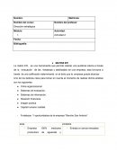 Actividad Dirección estratégica. Matriz EFI