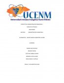 PROYECTO DE ADMINISTRACION FINANCIERA I: COSECHA DE FRIJOLES