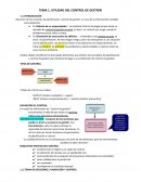 PLANIFICACION Y CONTROL DE GESTION