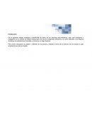 Fases y etapas del proceso administrativo