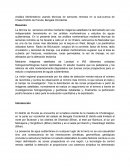 Análisis Morfometrico usando técnicas de sensores remotos en la sub-cuenca de Chaka Distrito de Purulia, Bengala Occidental