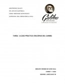 CASO PRÁCTICO CRUCEROS DEL CARIBE