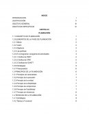 PROCESO ADMINISTRATIVO (estudio sistematizado y enfático en el proceso administrativo)