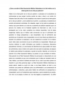 Cómo concibe la Real Asociación Médica Holandesa el rol del médico en la interrupción de la vida por petición?