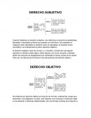 DERECHO SUBJETIVO Y OBJETIVO
