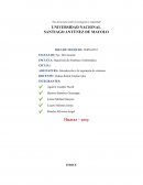 PROYECTO DE NEGOCIO SOBRE LA TUNA