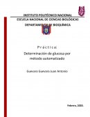 Práctica: Determinación de glucosa por método automatizado