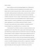 Análisis Destino Colombia