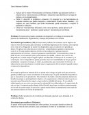 Tarea Sistemas Esbeltos