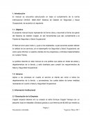 Manual de seguridad Sistema de Gestión Coppel