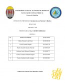 Trastorno de Conducta Alimentaria (TCA)