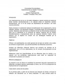 Que es la Estrategia - Portes