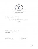 Investigacion miendfulness en el tratamiento de la psicosis