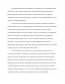 Metodologia agrobiodiversidad