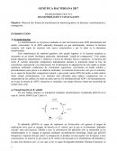 TRABAJO PRÁCTICO Nº1 TRANSFORMACIÓN Y CONJUGACIÓN