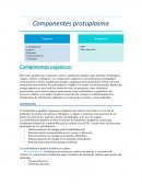 Componentes protoplasma