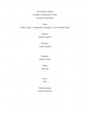 Análisis Crítico – Asentamientos informales – Caso de estudio Chepo