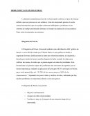 Herramientas Exploratorias. Construcción de Diagrama de Pareto