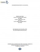 SUPLEMENTO DEL FRUTO CANANGUCHA