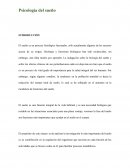 Psicologia del sueño