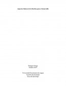 Aspectos básicos de la bioética para el desarrollo