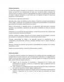 Politica Empresarial Good Shirt