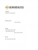 TALLER entrevista a la empresa DMC S.A.S