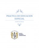 PRÁCTICA DE EDUCACIÓN ESPECIAL