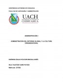 Administración del entorno global y la cultura organizacional