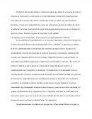 Ensayo Emprendimiento en México