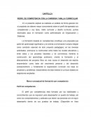 PERFIL DE COMPETENCIA CON LA CARRERA Y MALLA CURRICULAR
