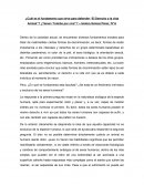 ¿Cuál es el fundamento que sirve para defender “El Derecho a la vida Animal”?