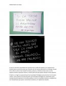 Análisis Diario de campo