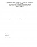 EL DERECHO AMBIENTAL EN VENEZUELA