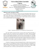 Práctica de parasitologia