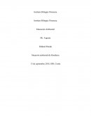 Situación ambiental de Honduras