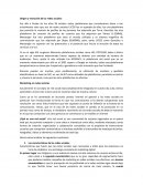 Origen y evolución de las redes sociales