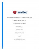 Historia de la Fotografía