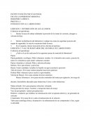 PRÁCTICA 1 INTRODUCCIÓN AL LABORATORIO