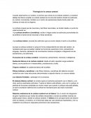 Fisiología de la corteza cerebral