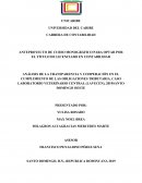 ANÁLISIS DE LA TRANSPARENCIA Y COOPERACIÓN EN EL CUMPLIMIENTO DE LAS OBLIGACIONES TRIBUTARIA