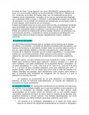 DIAGNOSTICO JARDIN LAURO AGUIRRE