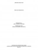 ENSAYO DE UNIDADES DIDACTICAS