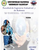 Minimizar costos empresa Peña Cervantes Ingenieros S.R.L