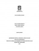 ISLAS PALMERA EN DUBAI