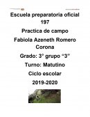 Practica de campo Un árbol es un ser que vive, para darnos vida